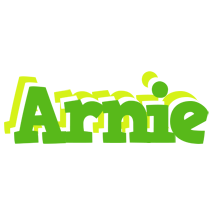 Arnie picnic logo