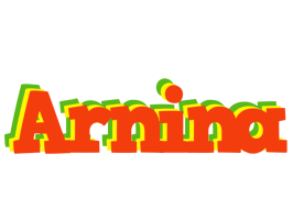 Arnina bbq logo