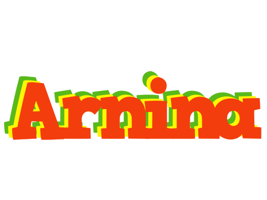 Arnina bbq logo