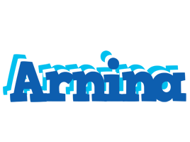 Arnina business logo