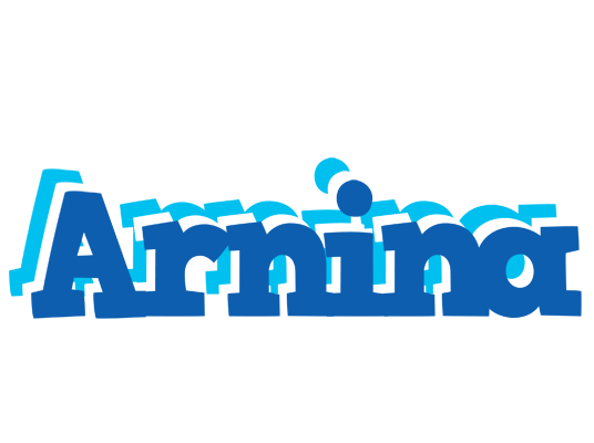Arnina business logo