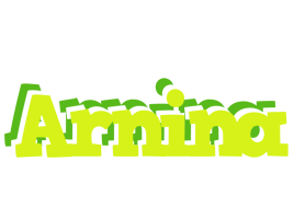 Arnina citrus logo