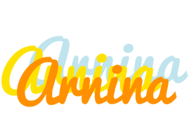 Arnina energy logo