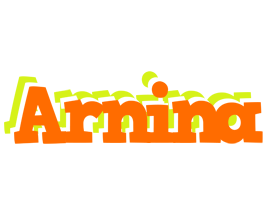 Arnina healthy logo