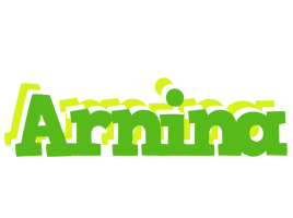 Arnina picnic logo