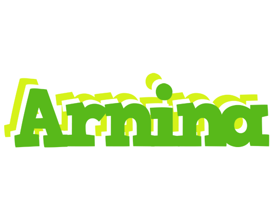 Arnina picnic logo