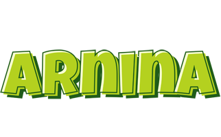 Arnina summer logo