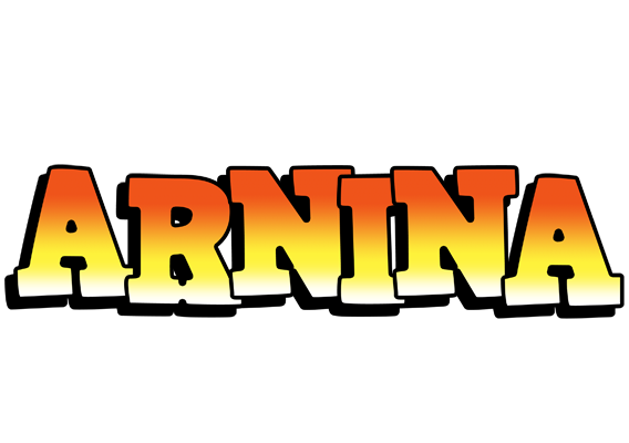 Arnina sunset logo