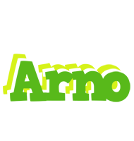 Arno picnic logo