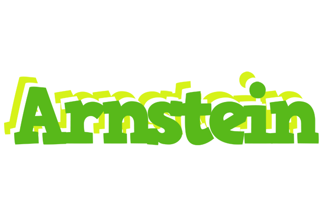 Arnstein picnic logo