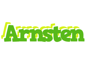 Arnsten picnic logo