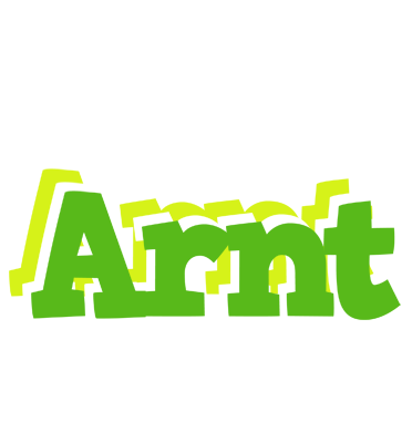 Arnt picnic logo