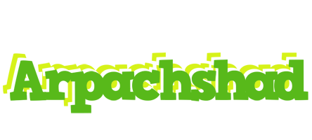 Arpachshad picnic logo