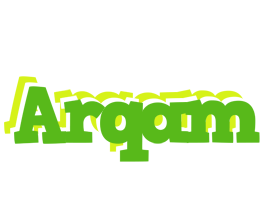 Arqam picnic logo