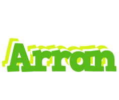 Arran picnic logo