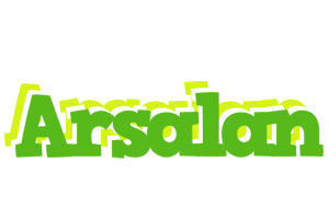 Arsalan picnic logo