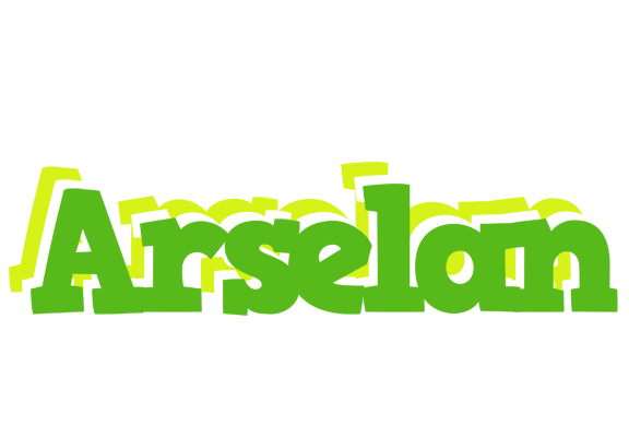 Arselan picnic logo