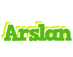 Arslan picnic logo