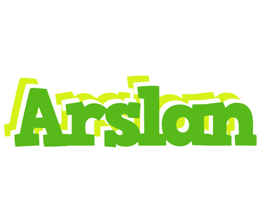 Arslan picnic logo