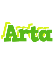 Arta picnic logo