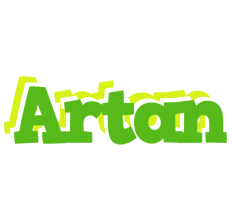 Artan picnic logo