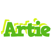 Artie picnic logo