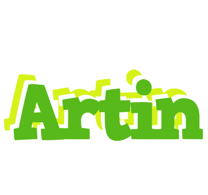 Artin picnic logo