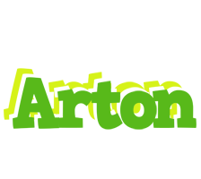 Arton picnic logo