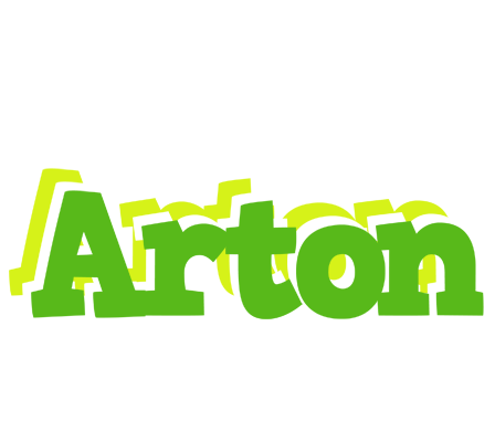 Arton picnic logo