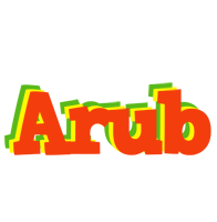 Arub bbq logo