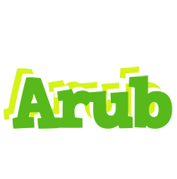 Arub picnic logo