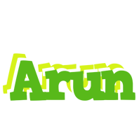 Arun picnic logo