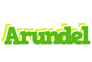 Arundel picnic logo