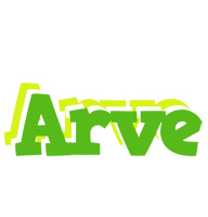 Arve picnic logo