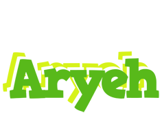 Aryeh picnic logo