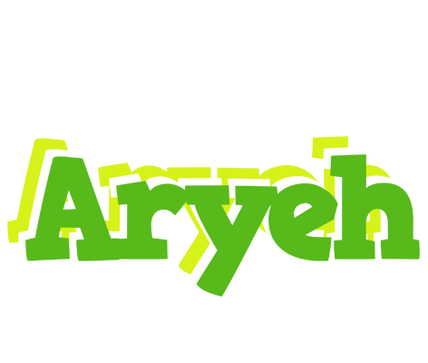 Aryeh picnic logo