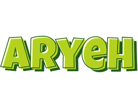 Aryeh summer logo