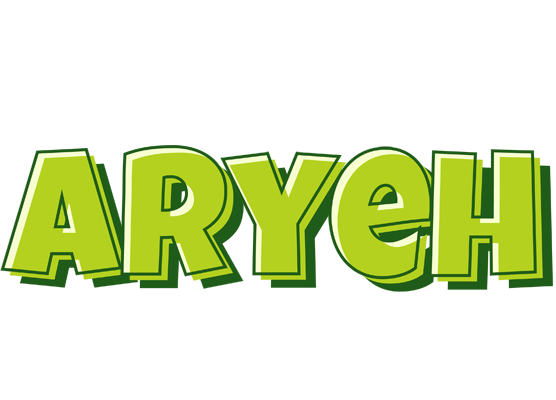 Aryeh summer logo