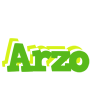 Arzo picnic logo