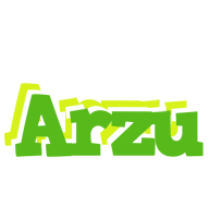 Arzu picnic logo