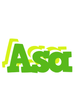 Asa picnic logo