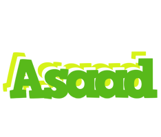 Asaad picnic logo