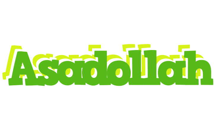Asadollah picnic logo