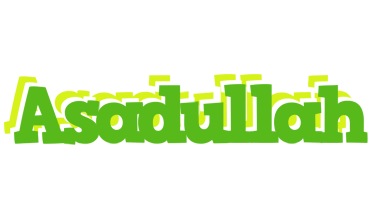 Asadullah picnic logo