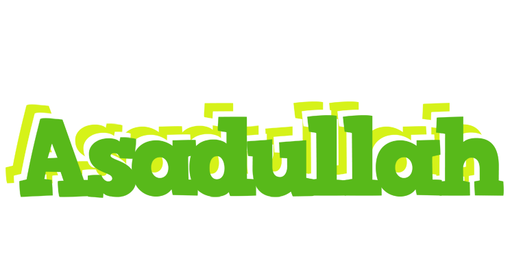 Asadullah picnic logo