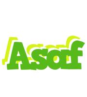 Asaf picnic logo