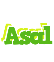 Asal picnic logo