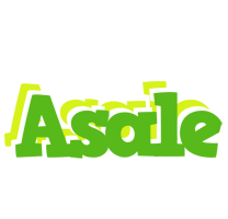 Asale picnic logo