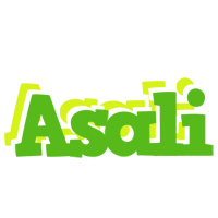 Asali picnic logo