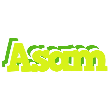 Asam citrus logo
